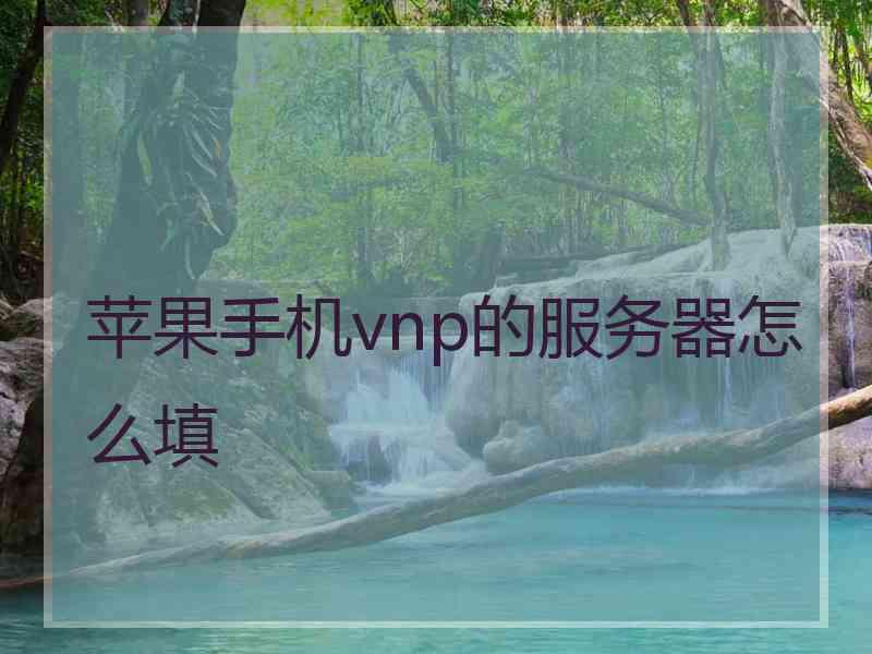 苹果手机vnp的服务器怎么填