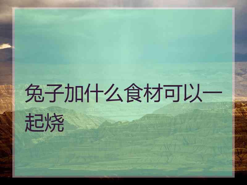 兔子加什么食材可以一起烧