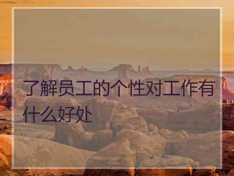 了解员工的个性对工作有什么好处
