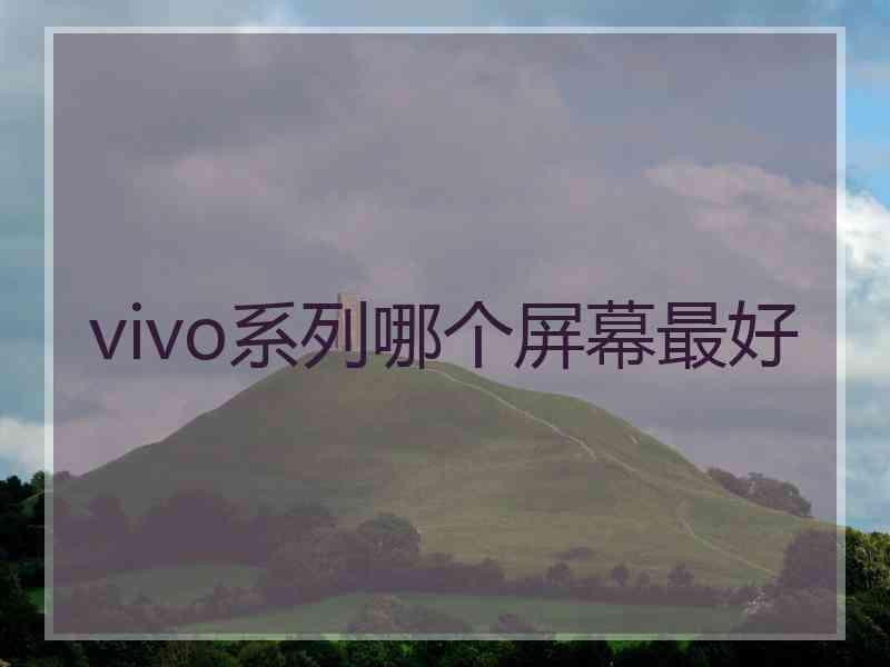 vivo系列哪个屏幕最好