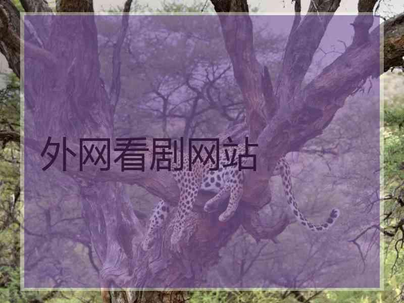 外网看剧网站