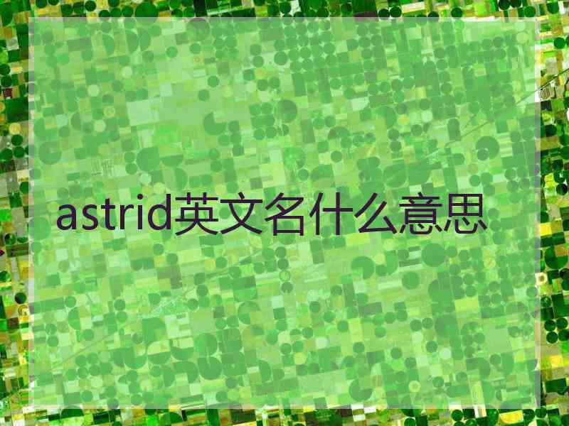 astrid英文名什么意思