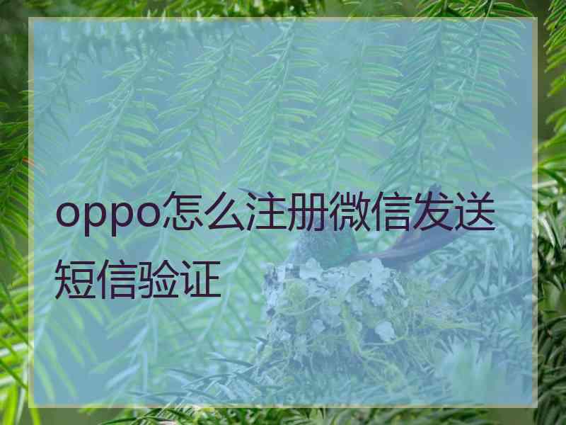 oppo怎么注册微信发送短信验证
