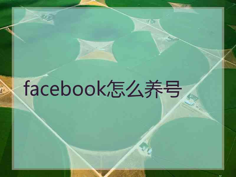 facebook怎么养号