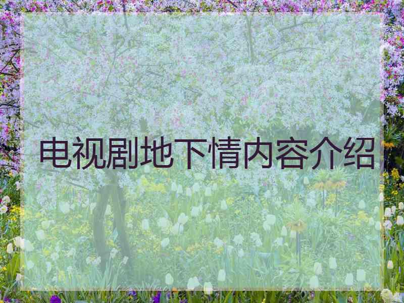 电视剧地下情内容介绍