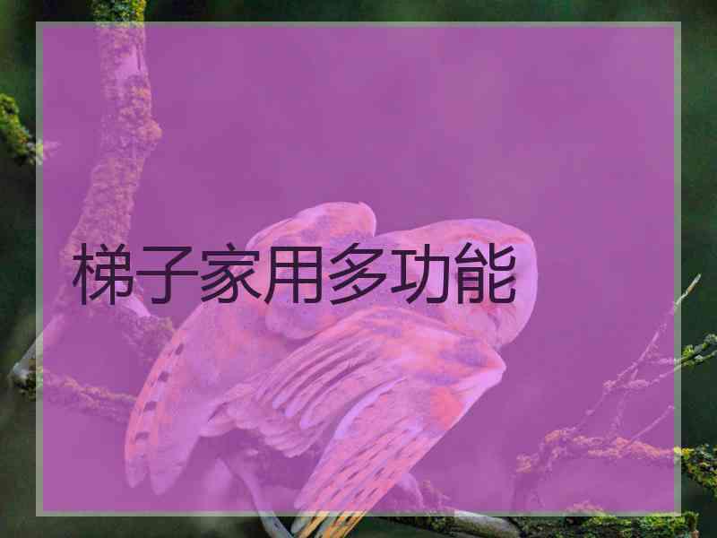 梯子家用多功能