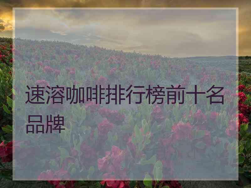 速溶咖啡排行榜前十名品牌