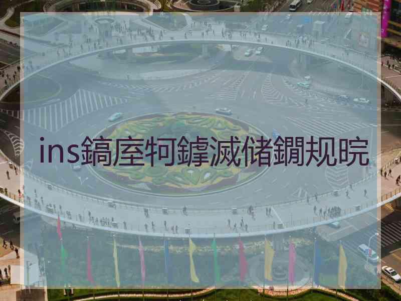 ins鎬庢牱鎼滅储鐗规晥