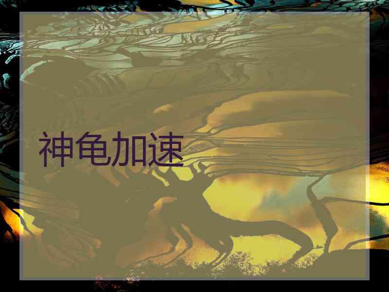 神龟加速