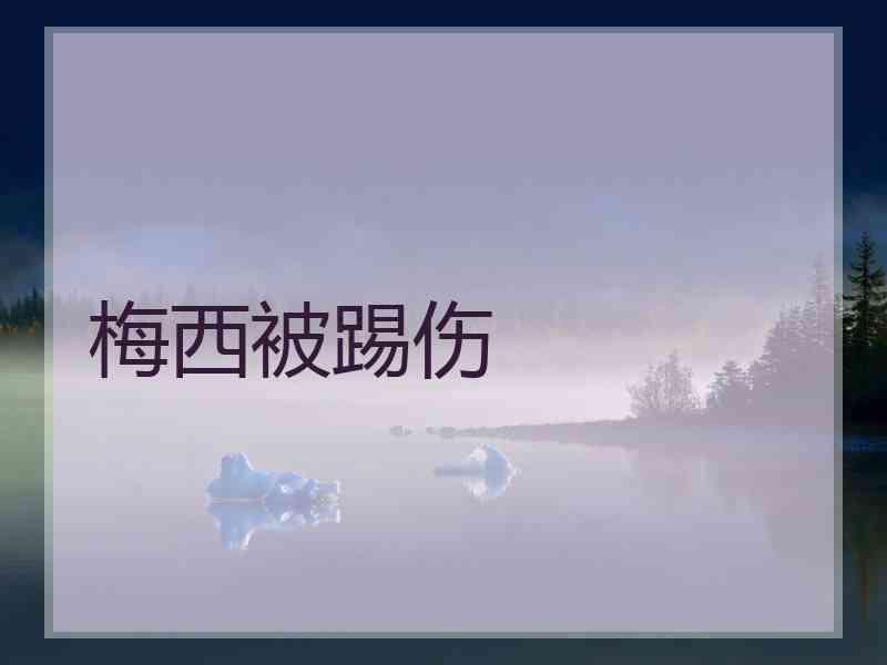 梅西被踢伤