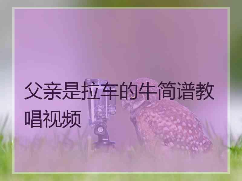 父亲是拉车的牛简谱教唱视频