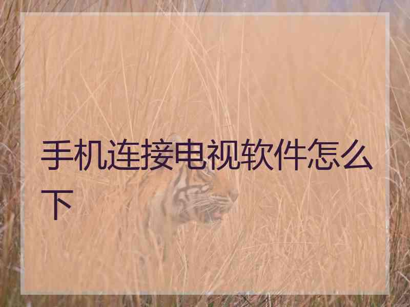 手机连接电视软件怎么下