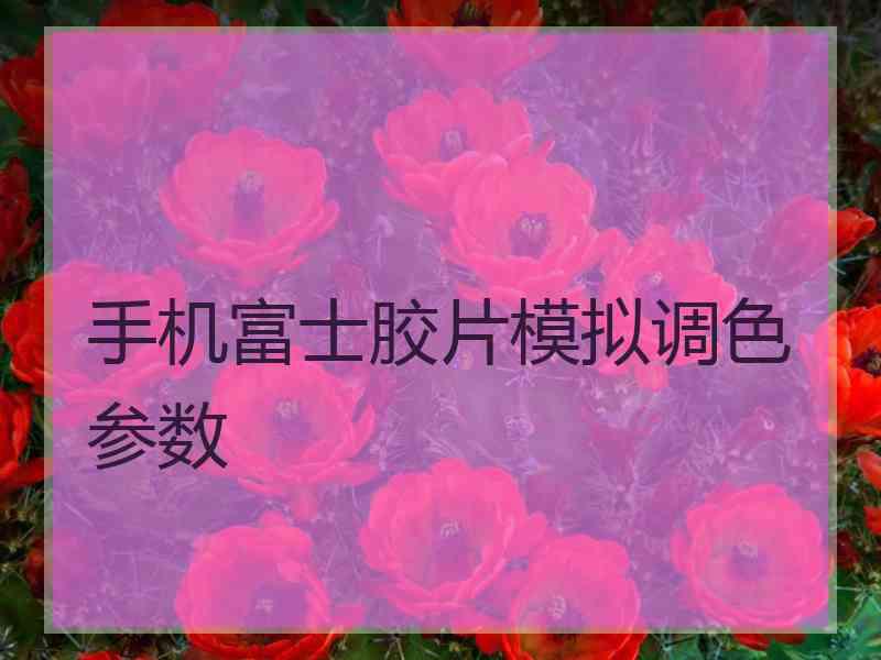 手机富士胶片模拟调色参数