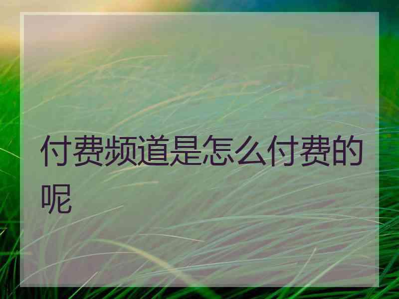 付费频道是怎么付费的呢