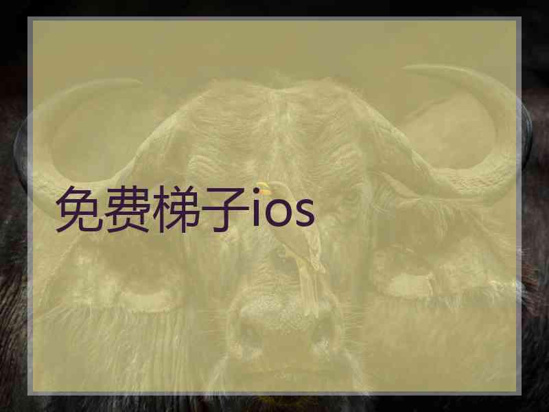 免费梯子ios