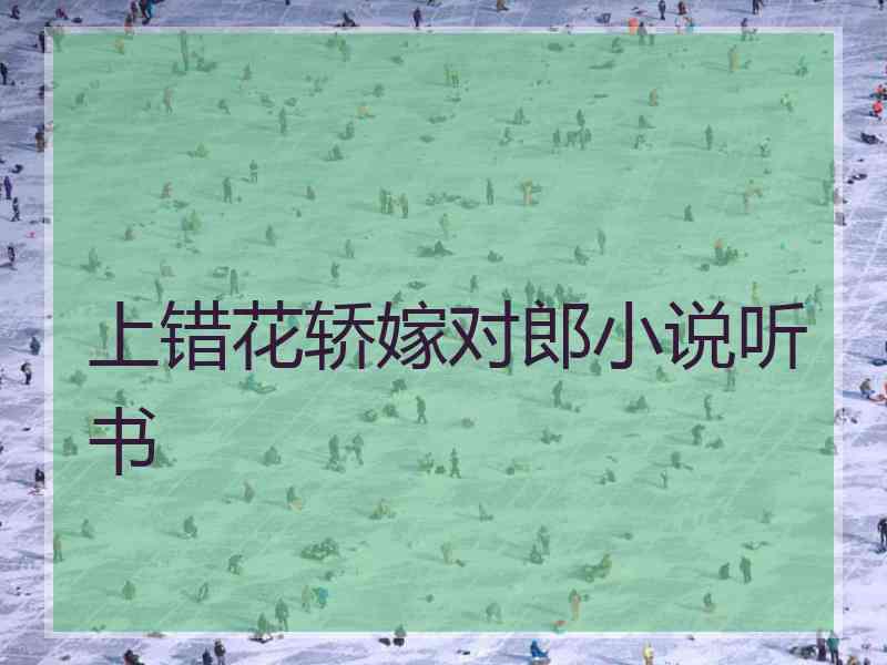 上错花轿嫁对郎小说听书