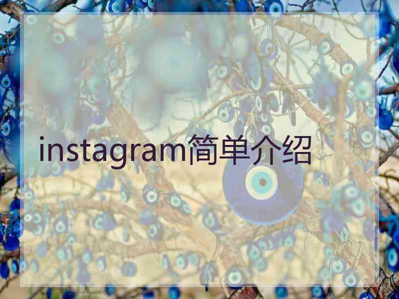 instagram简单介绍