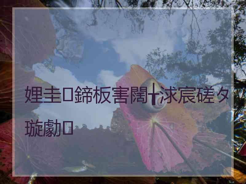 娌圭鍗板害闊╁浗宸磋タ璇勮