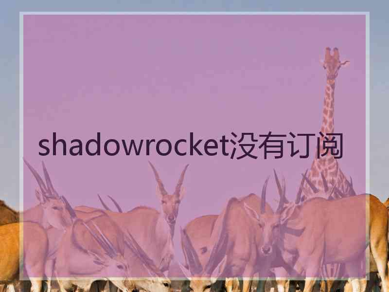 shadowrocket没有订阅