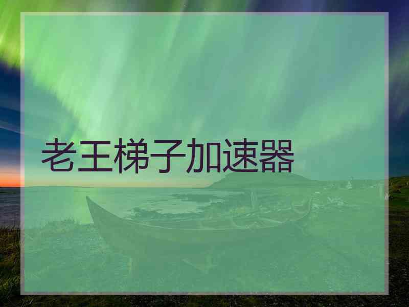老王梯子加速器