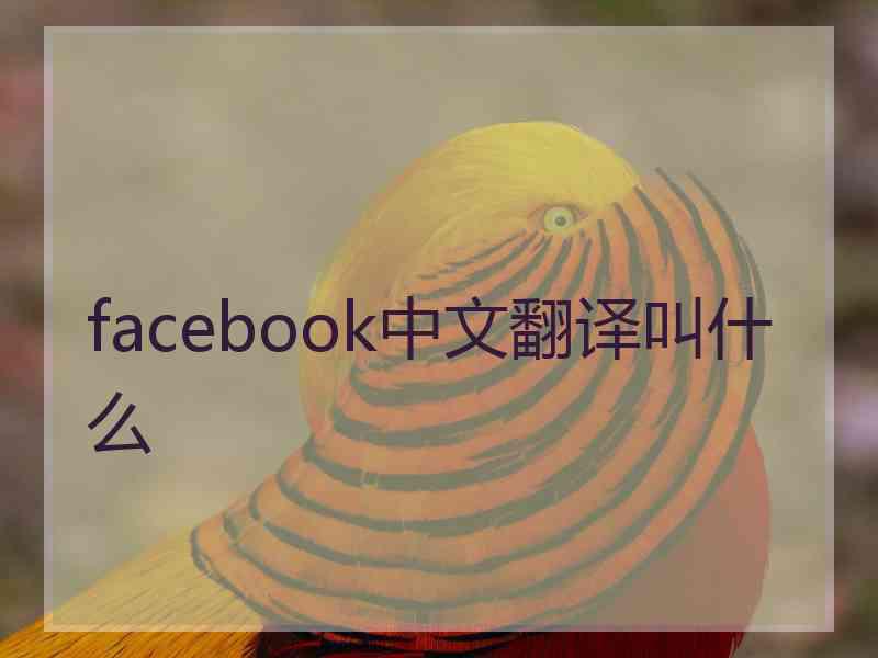 facebook中文翻译叫什么