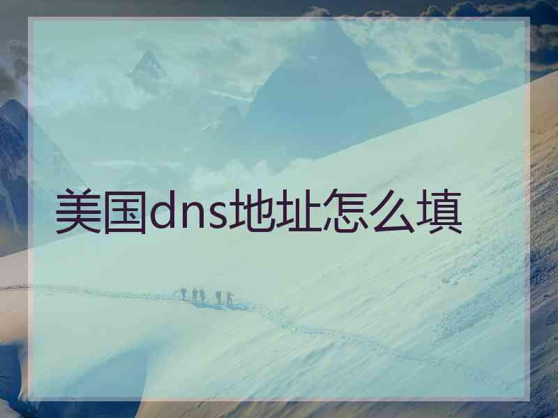 美国dns地址怎么填