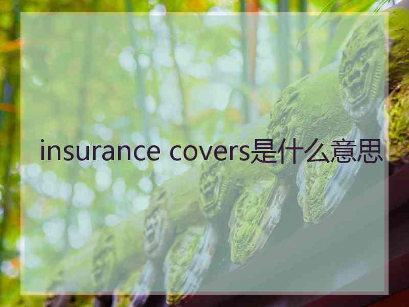 insurance covers是什么意思