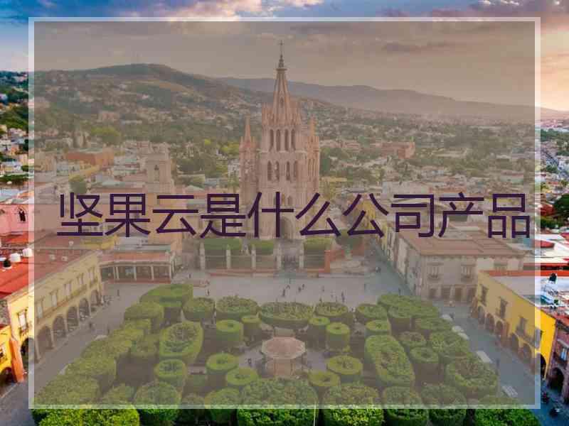 坚果云是什么公司产品