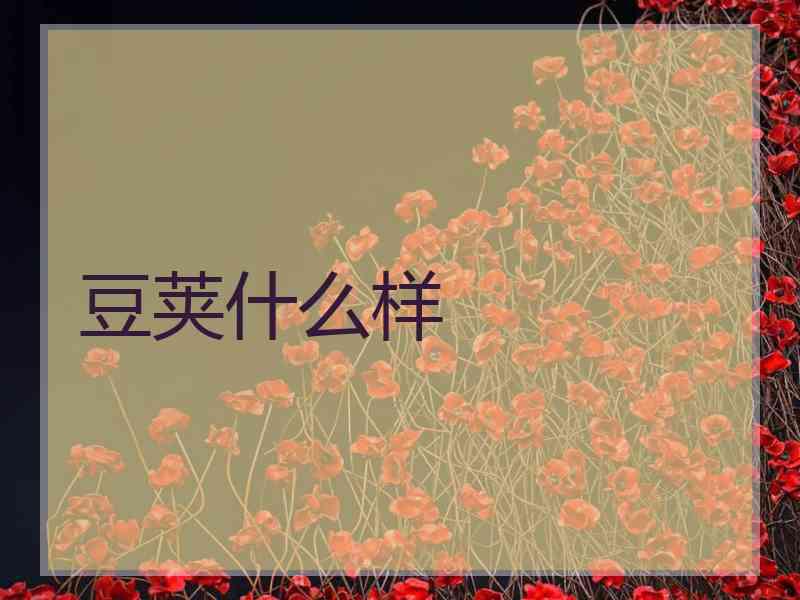 豆荚什么样
