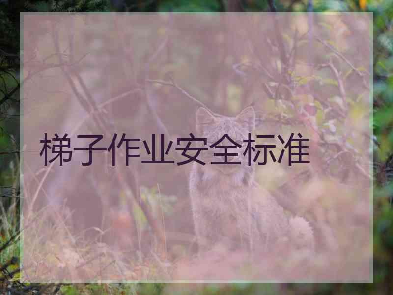 梯子作业安全标准