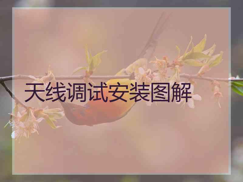 天线调试安装图解