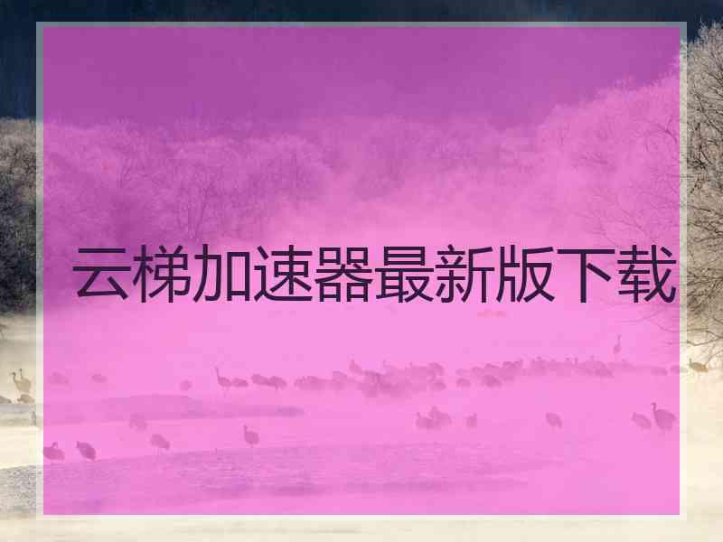 云梯加速器最新版下载