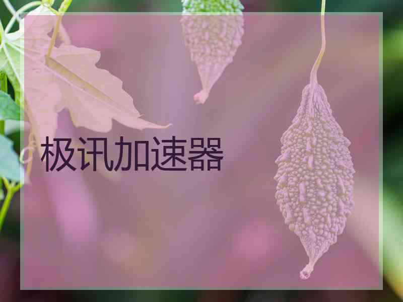 极讯加速器