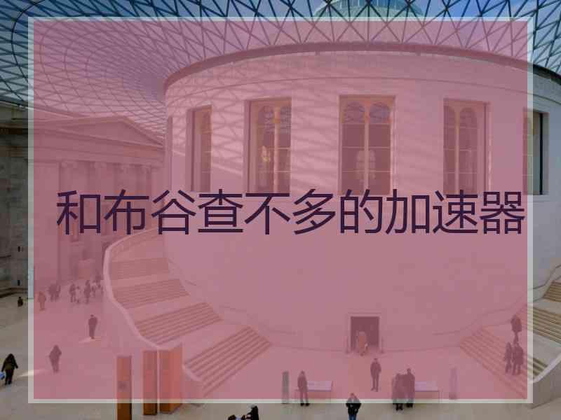 和布谷查不多的加速器