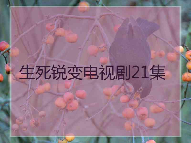 生死锐变电视剧21集