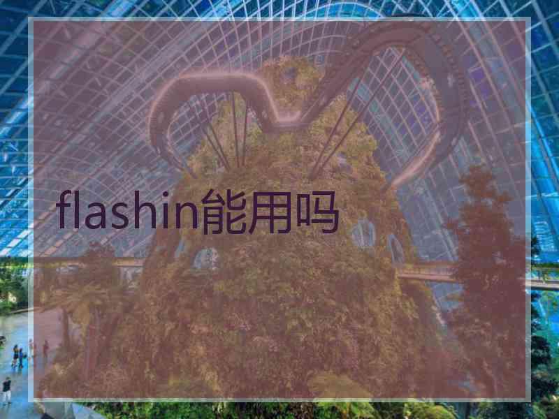 flashin能用吗