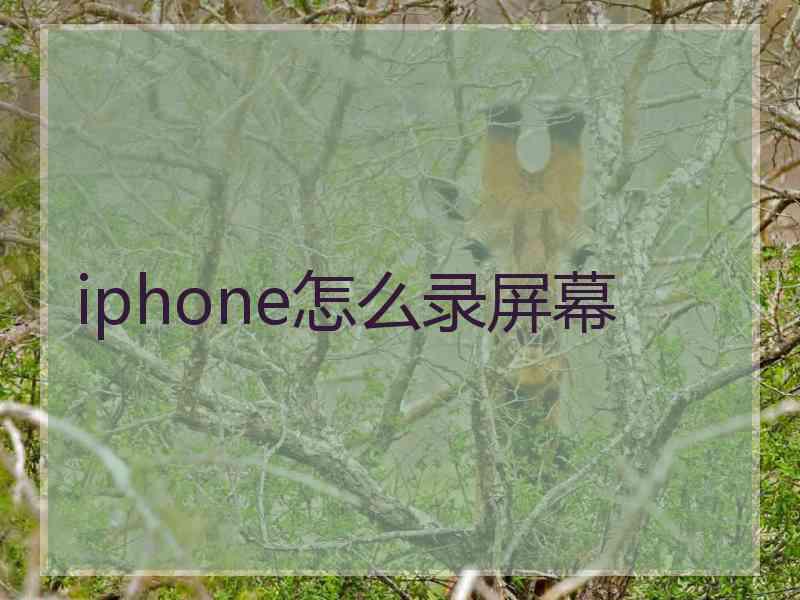 iphone怎么录屏幕
