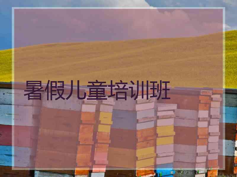 暑假儿童培训班