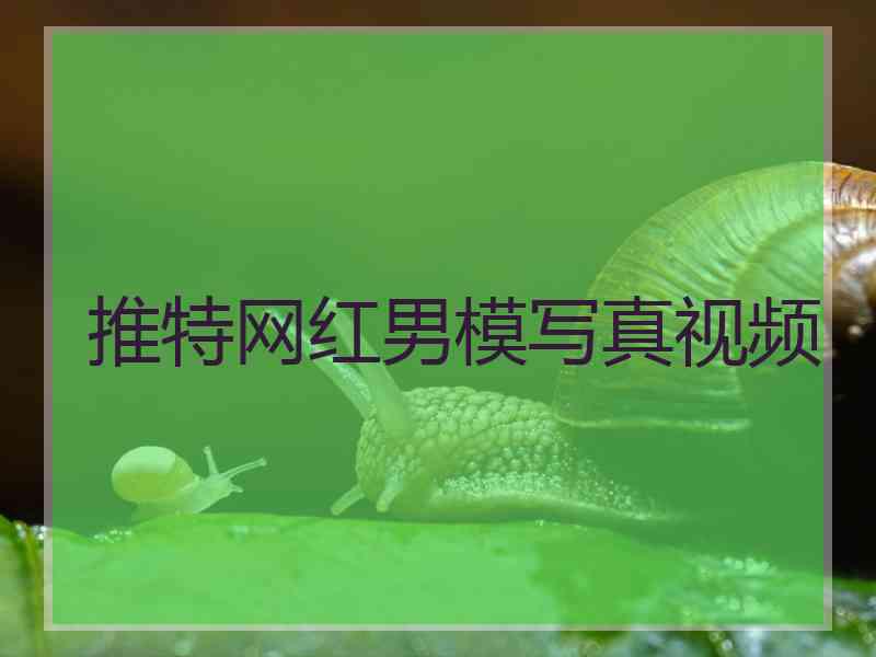推特网红男模写真视频