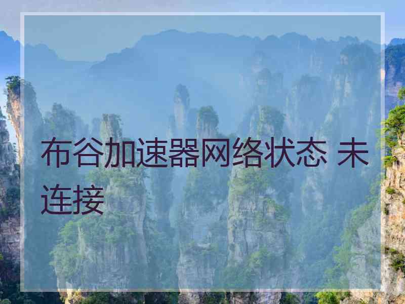 布谷加速器网络状态 未连接