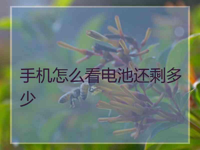 手机怎么看电池还剩多少