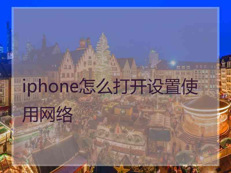 iphone怎么打开设置使用网络