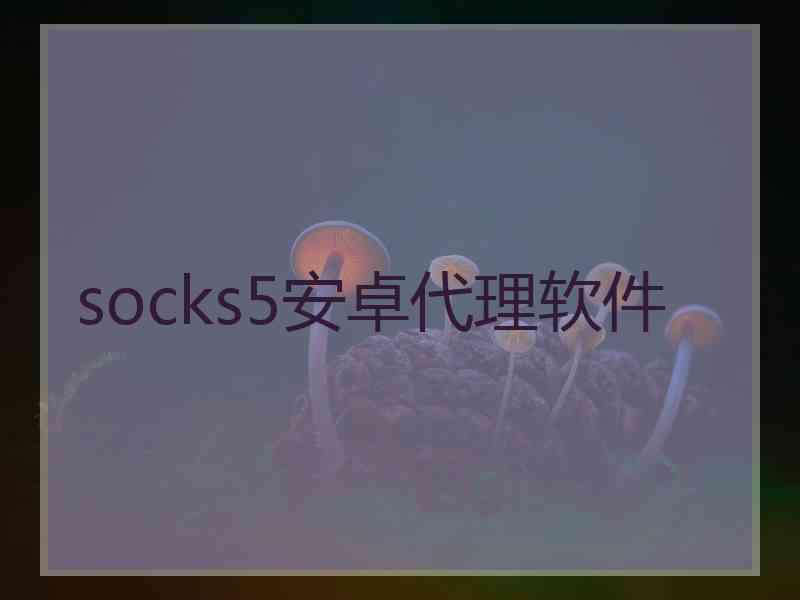 socks5安卓代理软件