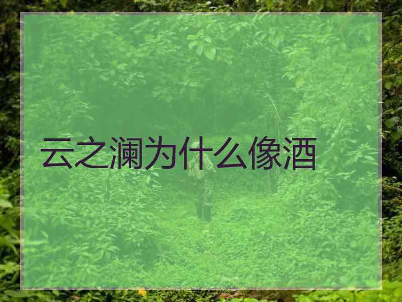 云之澜为什么像酒