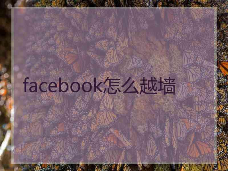 facebook怎么越墙