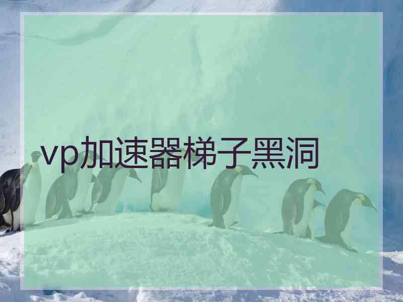 vp加速器梯子黑洞