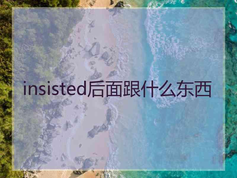 insisted后面跟什么东西