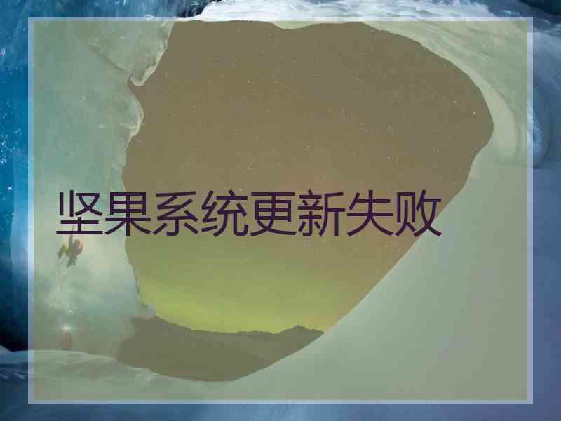 坚果系统更新失败