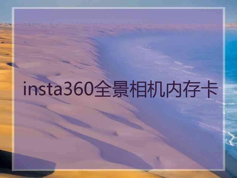 insta360全景相机内存卡