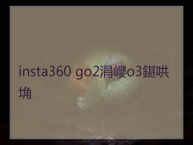 insta360 go2涓巊o3鍖哄埆
